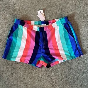 Multicolor Striped Swim Shorts L